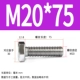 M20*75 (5)