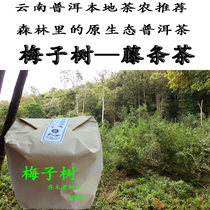 Origin tea farmers self-produced and sold Arbor old trees Puer tea raw tea loose tea rattan tea 500g spring 2019