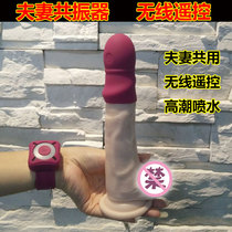 Adult supplies Men and women share vibrators Pumping Climax Couples Spice Love Love Sex Items Passion Utensils Jump Eggs