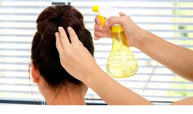 Vòi tưới áp lực có thể làm vườn phun nhỏ bình xịt phun sương tưới cây