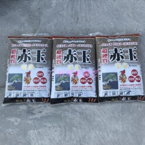 Japanese original-Ryuquan Ryoquan Whole Bag (succulent bonsai orchid aquatic plant)