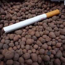 Special-Ceramsite small particles (3-10MM) small packaging (covering the bottom hydrophobic filling layer)