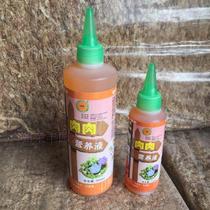 Promotion-Lvbang meat nutrition solution (cactus gemstone flower bear boy grass Jade Dew liquid fertilizer)