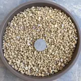 黄金软麦饭石 Сочная смешанная почва средняя регулирует уменьшение почвы, теплое и анти -коррупционное покрытие камень