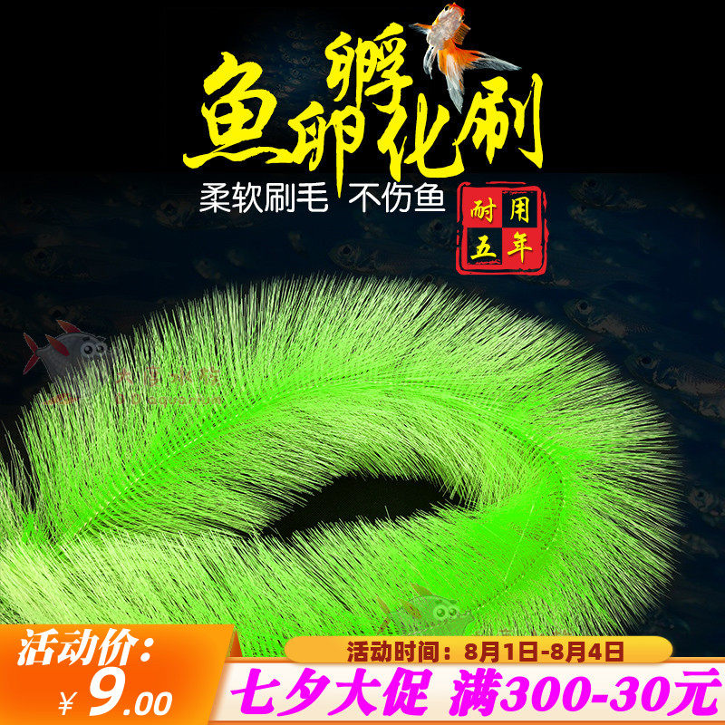 Koi spawn aquaculture hatcherbrush brush brush brush brush brush brush brush brush brush goldfish nest hatch brush