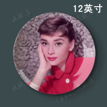 12 inch Audrey Hepburn color decorative painting plate living room study hanging plate Wall ceramic plate creative setting plate