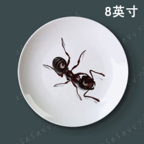 8 inch insect porcelain plate hanging plate decorative plate Wall sitting plate plate ceramic plate creative home craft gift plate