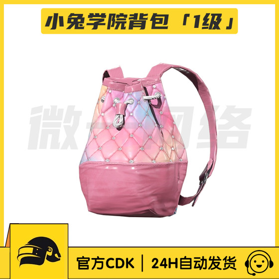 Pubg Bunny Academy Backpack Set Skin Cdk Level 1 Level 2 Level 3 Rabbit Backpack Steam Pubg