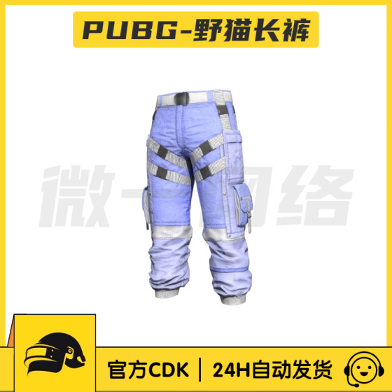 Pubg Wildcat Set Skin Cdk Hoodie Sweatpants Sneakers Year of the Tiger Steam Battle Royale