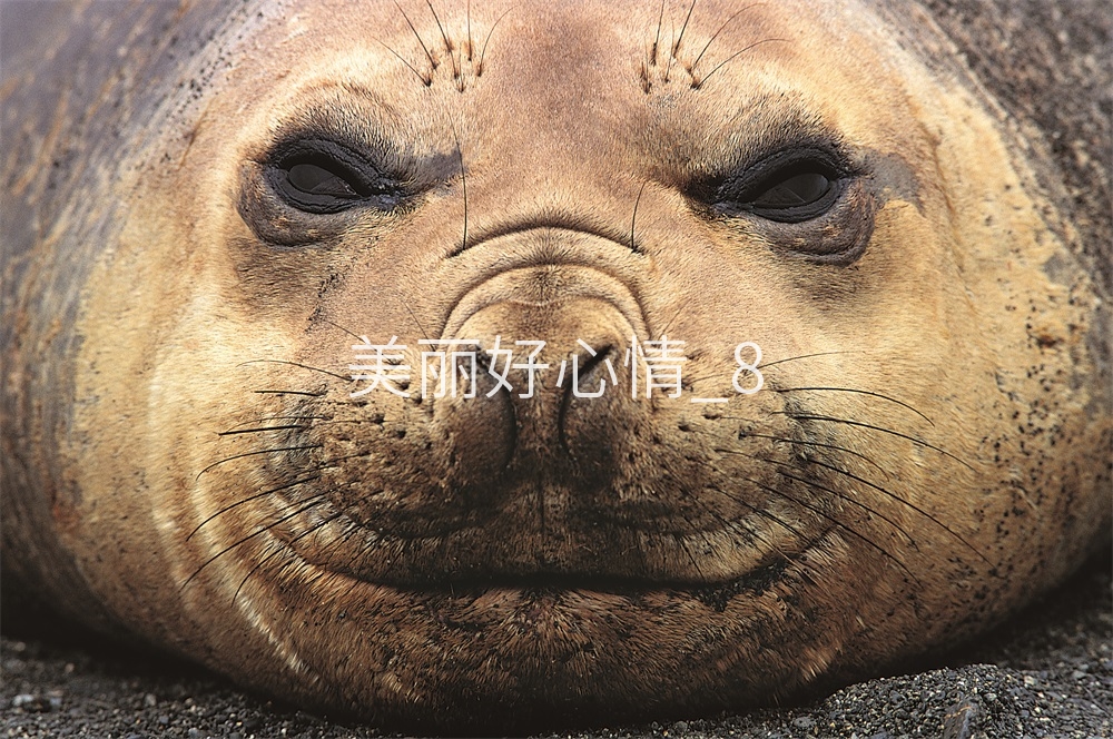 New picture photo postcard printing various sizes national delivery 51a085