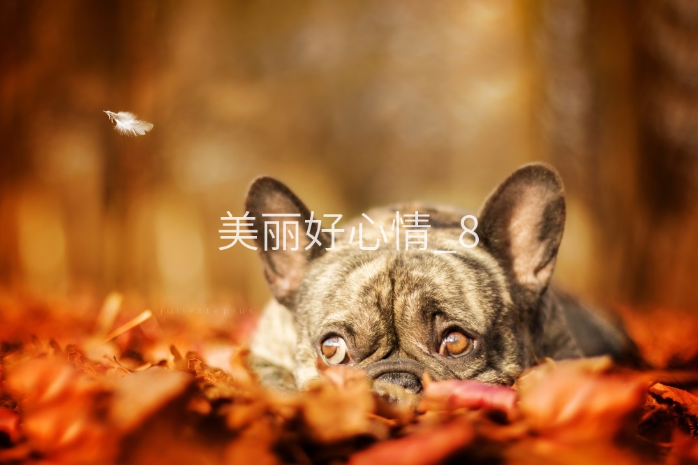 New picture photo postcard printing various sizes national delivery 51a100