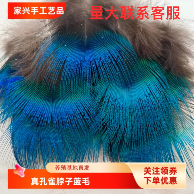 Peacock Feathers DIY Handmade Jewelry, Peacock Neck Blue Feathers, Real Peacock Feathers, First-Grade Quality