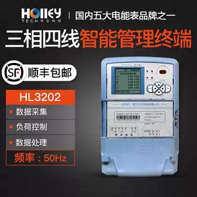 Hangzhou Holley HL3202 power load management terminal software collection and monitoring terminal centralized meter reading system
