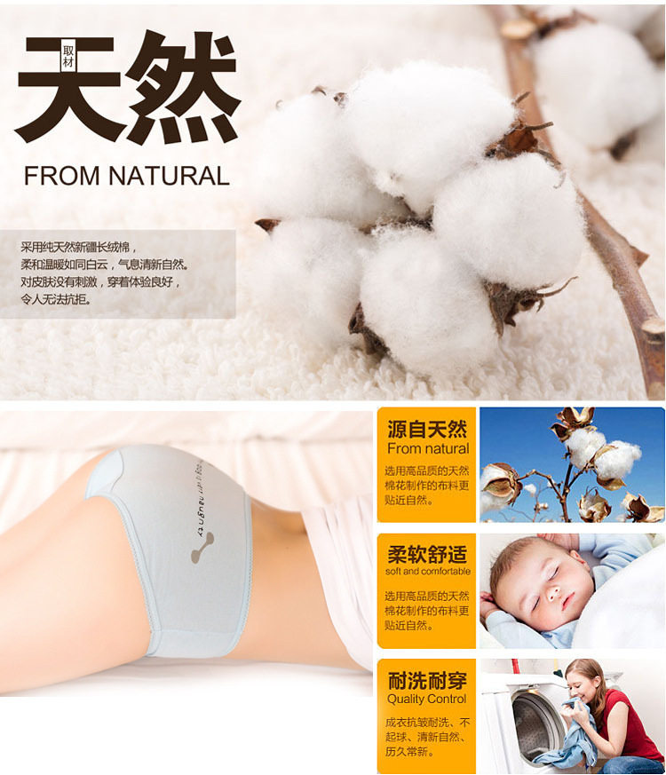 Slip jeunesse en coton - Ref 652020 Image 11