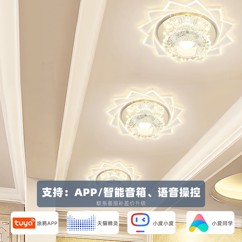 Corridor light Corridor crystal light LED porch light Hall light Entry light high-bright balcony ceiling light downlight spotlight