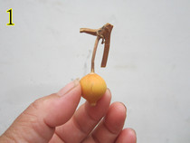 Natural Round Ball Hyacinth Pendulum Pieces Auspicious Gift Crafts Spot 1