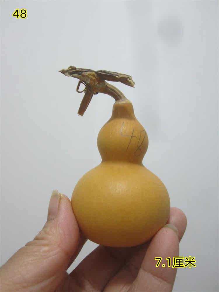 Natural hand twisted gourd American small gourd hand one thing one picture spot