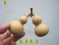 Natural American small hand twist shaped gourd with Vine gourd Wen Wen play collection ornaments gifts 1-24 spot