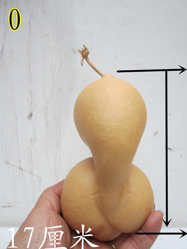 A natural special-shaped medium-sized gourd Lezha Jinchan gourd in stock