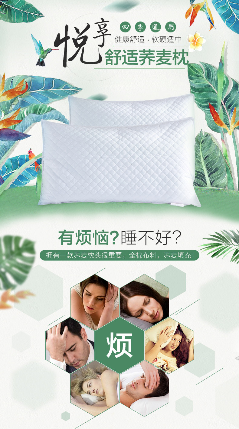 荞麦单人枕头_01.jpg