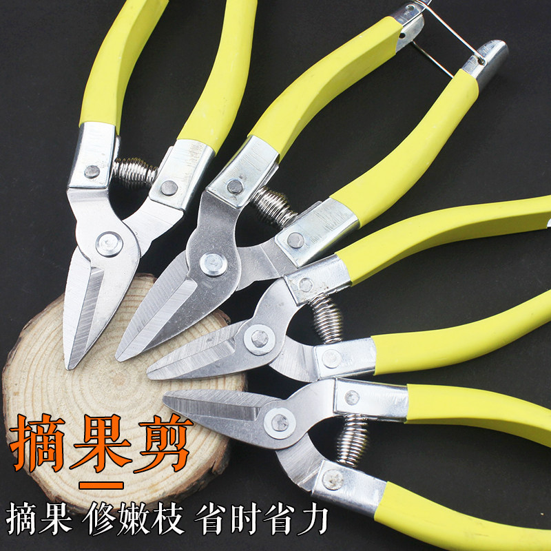 Pruning shears Pruning scissors Branch scissors Fruit picking gardening household citrus orange knife scissors Grape special round head small mouth