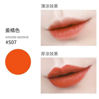 S07 Ginger Orange Color