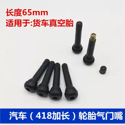 Special car TR418 extended vacuum tire valve tire valve vacuum nozzle rubber nozzle with copper valve core