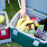 STANLEY Сумка-холодильник, вместительная и большая охлаждаемая портативная коробка