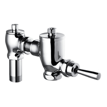 HCG and adult bathroom CF637CT hand press type hand press time-lapse stool flush valve toilet urinal manual flushing valve