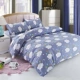 Shuai Yi quilt đơn mảnh đôi 150 200 220 ký túc xá với chăn quilt đơn 1.5 / 1.8 / 2 m - Quilt Covers bộ chăn ga gối đẹp