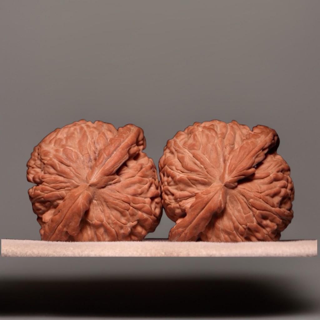 文玩堂：闷尖白獅子頭（46mm） 文玩堂：闷尖白獅子頭（46mm）1