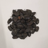 Китайские лекарственные материалы, jiuxiangbug, пукающий жук, черный жук, подлинные сухие товары, бесплатная стирания, 10 г пивоварения чая