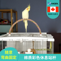 Imported parrot toys Bird supplies Cotton pole pole grinding claw pole Monk Jintai Keck gray machine Medium and large