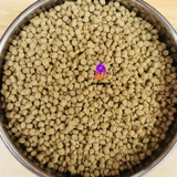 衫   啬  逐叙 淖萄  栊 ∨ 劣  夏敌  中小型