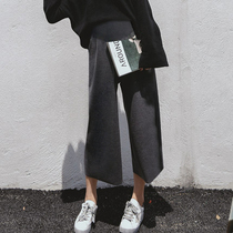 Autumn and winter pregnant women pants autumn wear 2021 new pregnancy pregnant women tide mom leisure wide leg ankle-length pants