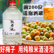 Hunan rice wine glutinous rice liquor soaked fruit wine medicinal wine Self-brewed low rice wine Bulk grain plum wine 28 degrees 2 5L