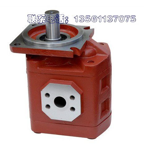 CBG20633080 Jinan hydraulic pump CO., Ltd gear pump excavator variable Qingzhou pump