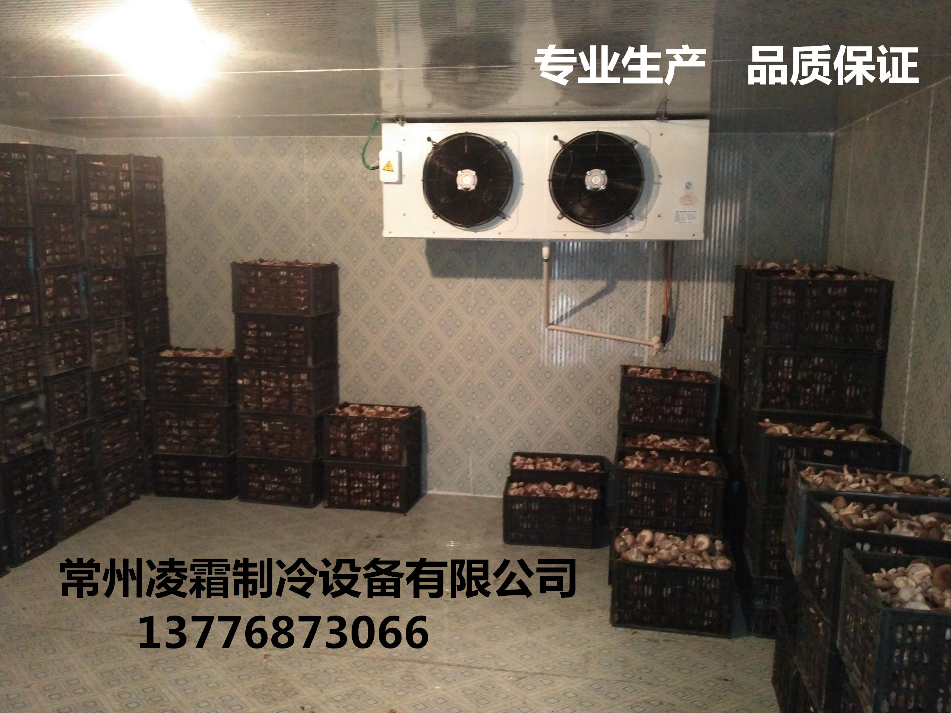 Supply of fruit and vegetable refrigerated preservation refrigerated storage cold storage freezer sets refrigeration storage insulation board cold storage complete equipment