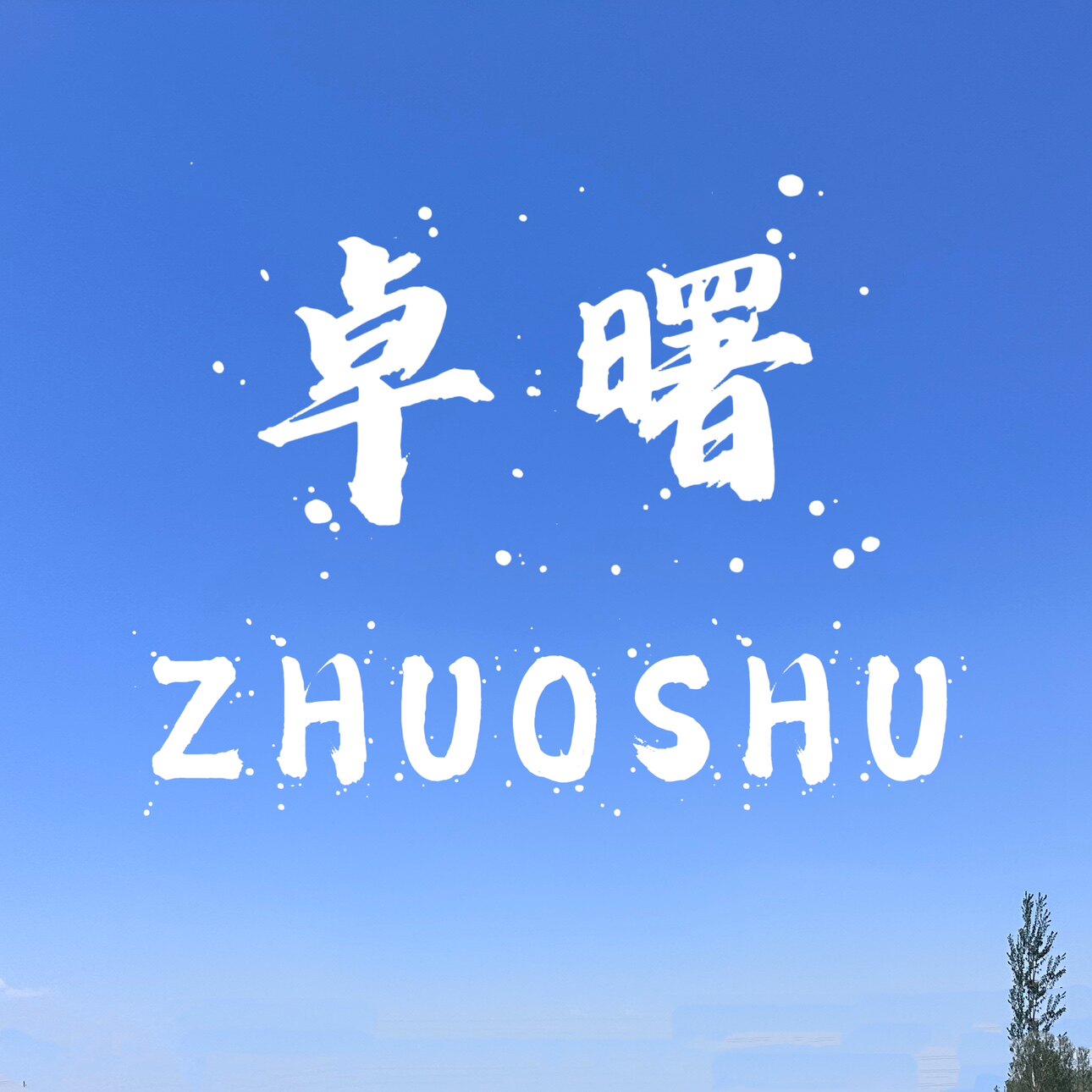 卓曙空调吊卡制冷配件厂的LOGO