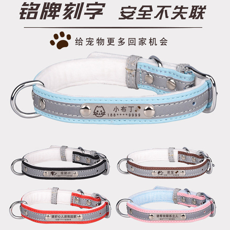 如何选择一款安全又时尚的夜光猫咪颈圈?