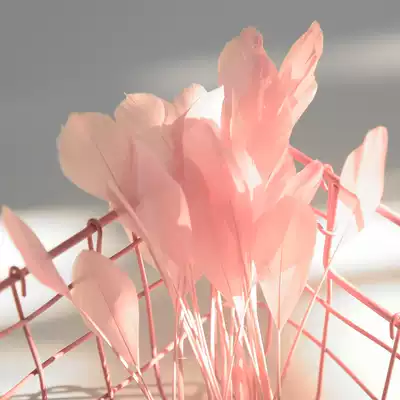 Hand-torn goose feather feather props decoration ins nail art photo props posing ornaments Cosmetics shooting background