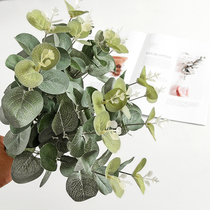 Nordic ins simulation green plant Eucalyptus leaf photo props makeup nail art photography background swing shot decoration