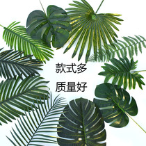 Monolithic simulation turtle back loose tail Kui green leaves Single fake leaves Kindergarten ring wedding wedding decoration plastic leaves