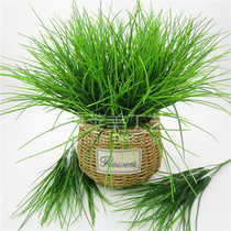 Single artificial green grass plastic grass plant small grass seedlings green grass green plant fake grass decorative bunch green grass green leaves