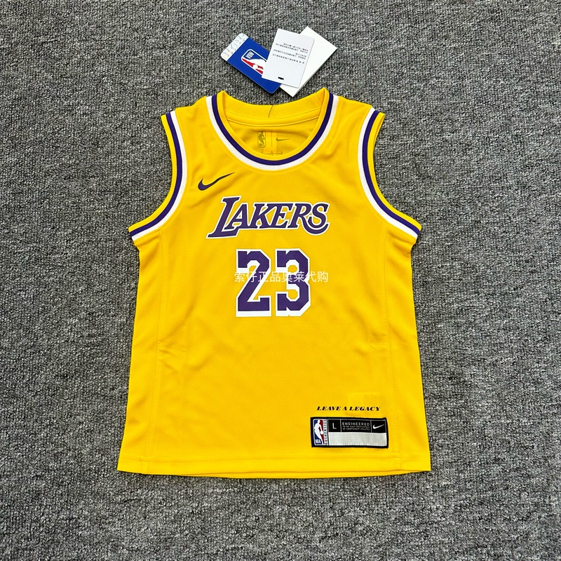 Nike Los Angeles Lakers James Quick-Drying Basketball Sports Vest Jersey Hf7716/Fz8625