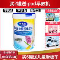 English Golden Platycodon in chicken gizzard plant and herbal medicine for young children to regulate the spleen and stomach eliminate accumulated food gizzard gizzard gizzard and platycodon with hawthorn and poria.