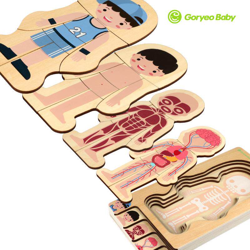 Toddler Child Human Body Puzzle Jigsaw Puzzle Baby Puzzle Force Development Action Brain 4 Girl 5 Boys 7 Early Education Toys 3-6 years old