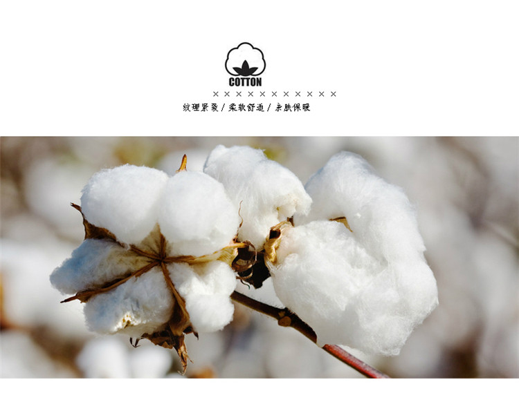 Chaussettes - collants - Ref 754757 Image 12