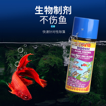 Germany sera Xi Rui algae removal agent Moss fresh water tank bath removal agent anti-Moss fish tank to algae and green water