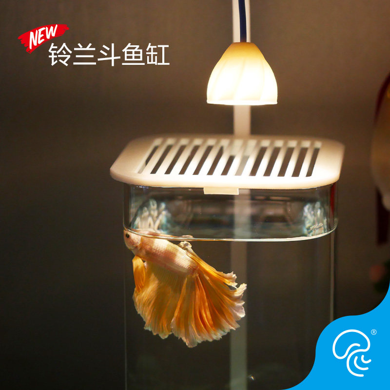 铃兰斗鱼缸创意简约桌面鱼缸小型懒人玻璃造景办公桌专用鱼缸家用